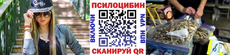 Псилоцибиновые грибы мухоморы  kraken маркетплейс  Малая Вишера  купить наркоту 